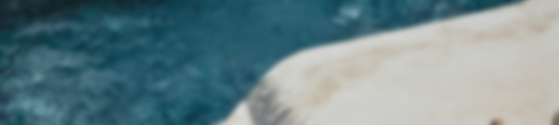 Jumbotron Background