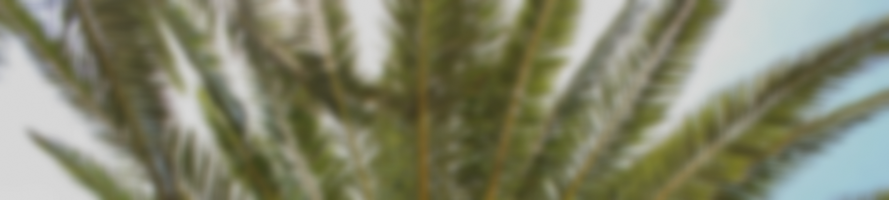 Jumbotron Background